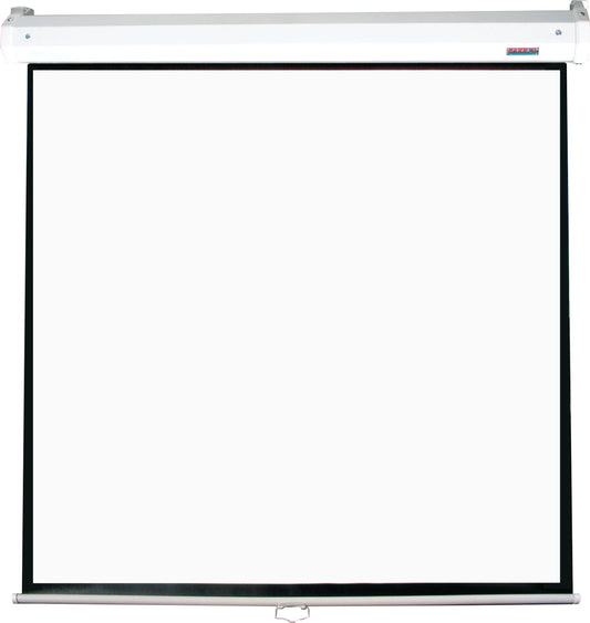 Parrot Products Electric Projector Screens 1:1 Aspect Ratio